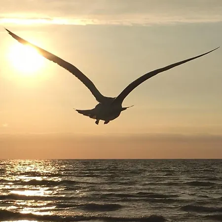 Strandkorb 公寓 奥茨塞巴德·迪尔哈根